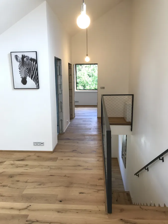Vizualizace projektu "Dvojdům"